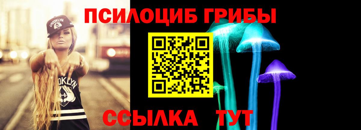 Псилоцибиновые грибы прущие грибы Владимир